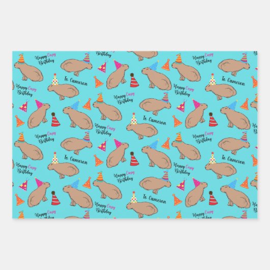 Capybara Specialized Hand-Illustrated Birthday Inpakpapier Vel (Voorkant 2)