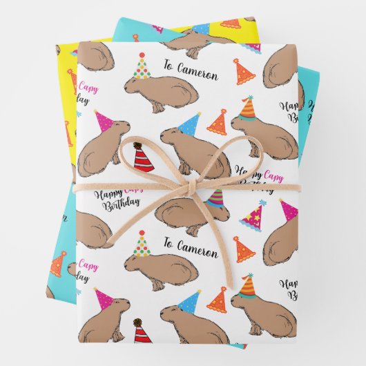 Capybara Specialized Hand-Illustrated Birthday Inpakpapier Vel (In situ)