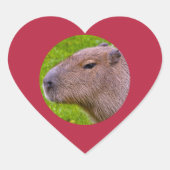 Capybara Sticker (Voorkant)