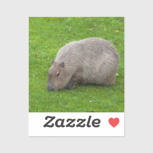 Capybara Sticker (Vel)