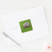 Capybara Sticker (Envelop)