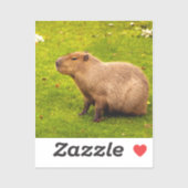 Capybara Sticker (Vel)