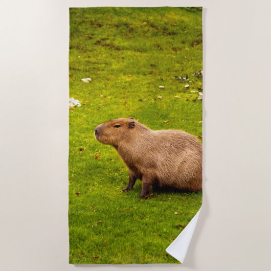 Capybara Strandlaken (Voorkant)