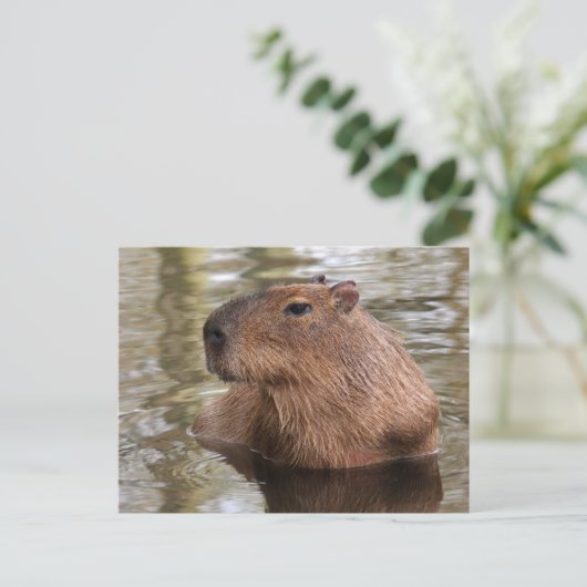 Capybara Swimming Briefkaart (Staand voorkant)