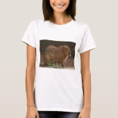 Capybara T-shirt (Voorkant)