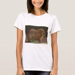 Capybara T-shirt