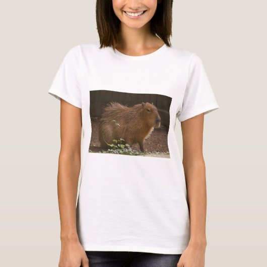 Capybara T-shirt (Voorkant)