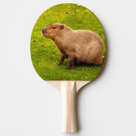 Capybara Tafeltennisbatje (Voorkant)