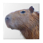 Capybara Tegeltje (Voorkant)