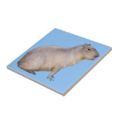 Capybara Tegeltje (Zijkant)