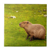 Capybara Tegeltje (Voorkant)