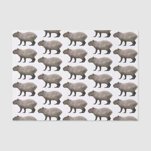 Capybara Tissuepapier (Voorkant)