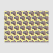 Capybara Tissuepapier (Voorkant)