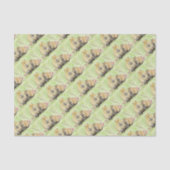 Capybara Tissuepapier (Voorkant)