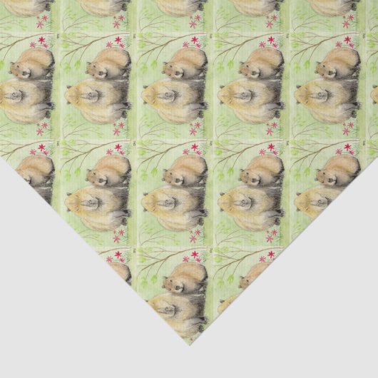Capybara Tissuepapier (Detail)