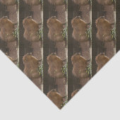 Capybara Tissuepapier (Detail)