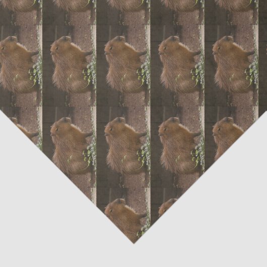 Capybara Tissuepapier (Detail)