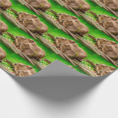 Capybara Trio Cadeaupapier (Hoek)