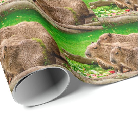 Capybara Trio Cadeaupapier (Rol Hoek)