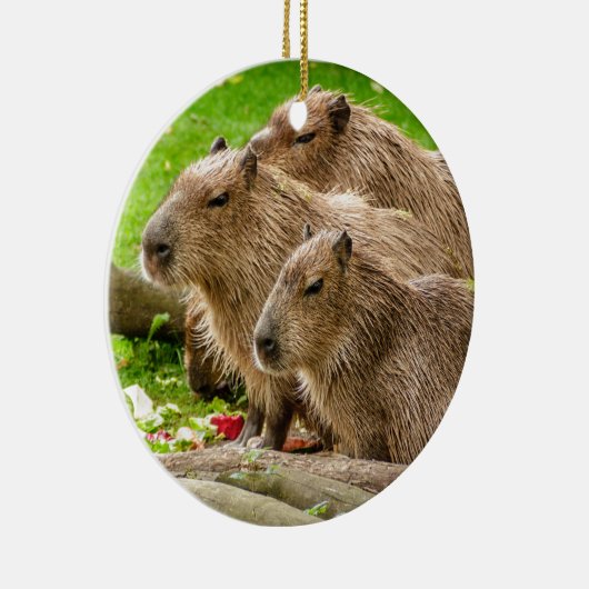 Capybara Trio Keramisch Ornament (Rechts)