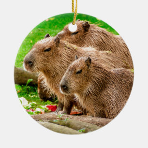Capybara Trio Keramisch Ornament