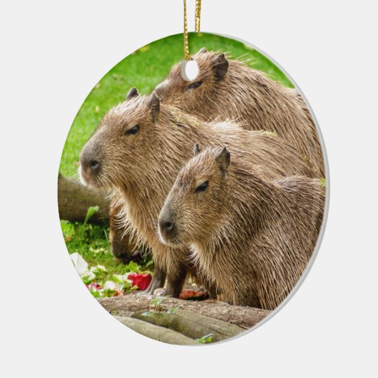 Capybara Trio Keramisch Ornament (Links)