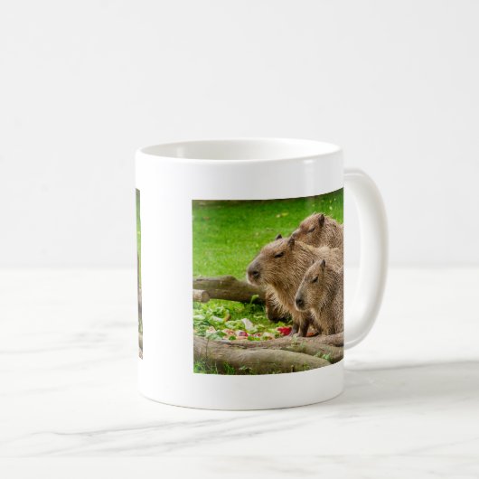 Capybara Trio Koffiemok (Voorkant rechts)