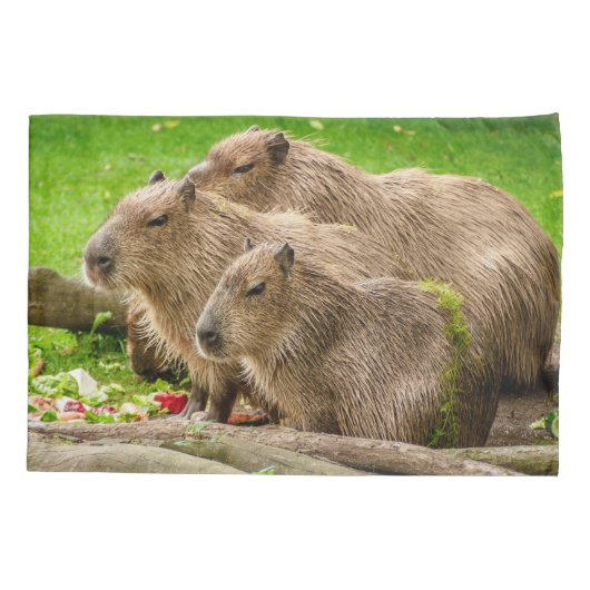 Capybara Trio Kussensloop (Achterkant)