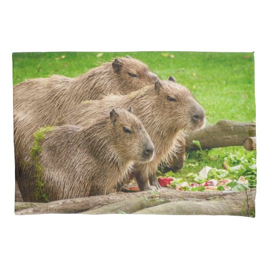 Capybara Trio Kussensloop (Voorkant)