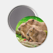 Capybara Trio Magneet (Voorkant / Achterkant)