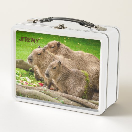 Capybara Trio Metal Lunch Box (Voorkant)