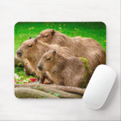 Capybara Trio Muismat (Met muis)