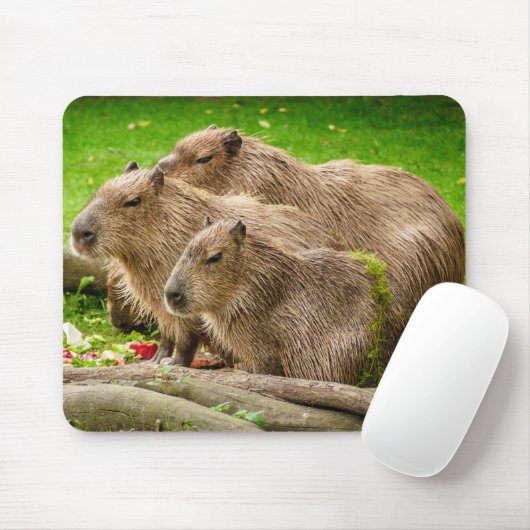 Capybara Trio Muismat (Met muis)