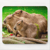 Capybara Trio Muismat (Voorkant)
