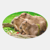 Capybara Trio Ovale Sticker (Voorkant)