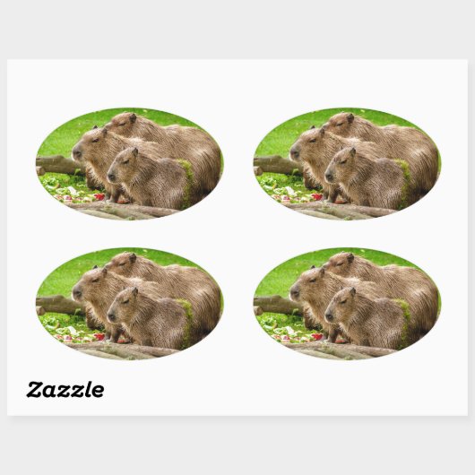 Capybara Trio Ovale Sticker (Vel)