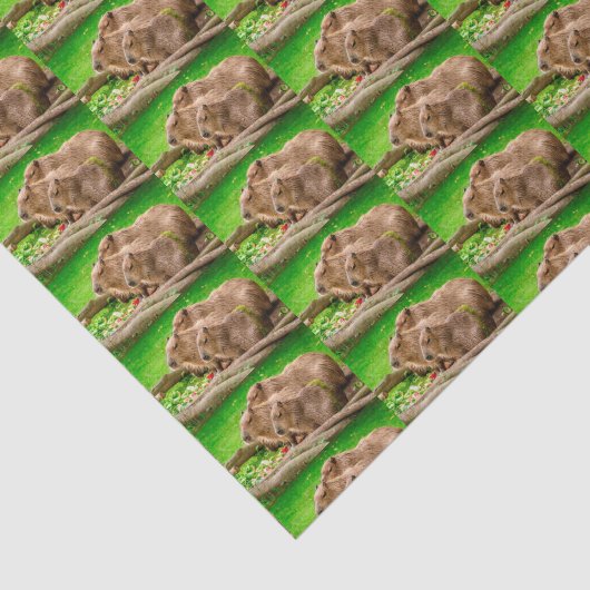 Capybara Trio Tissuepapier (Detail)