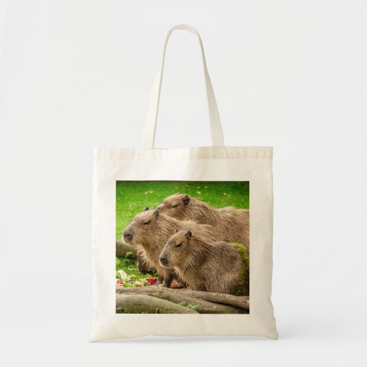 Capybara Trio Tote Bag (Voorkant)