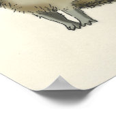 capybara trivia poster (Hoek)