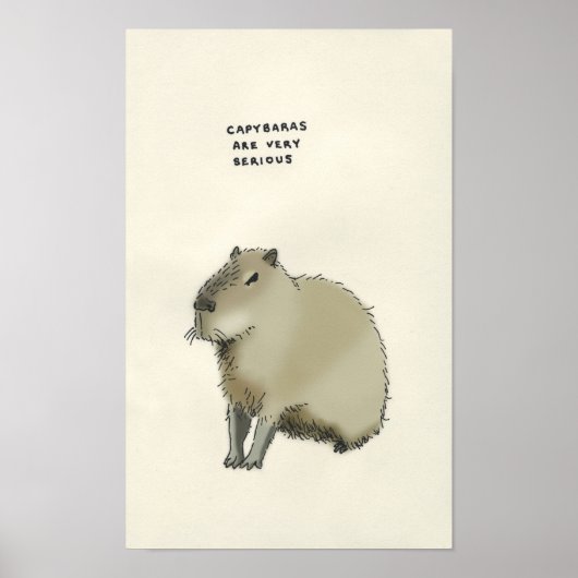 capybara trivia poster (Voorkant)