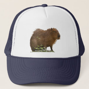 Capybara Trucker Pet