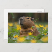 Capybara tussen de gele waterlelies briefkaart (Voorkant / Achterkant)