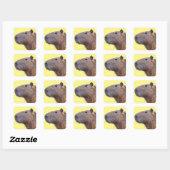 Capybara Vierkante Sticker (Vel)
