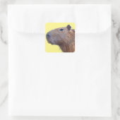 Capybara Vierkante Sticker (Tas)