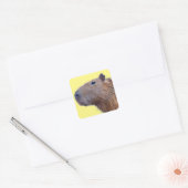 Capybara Vierkante Sticker (Envelop)