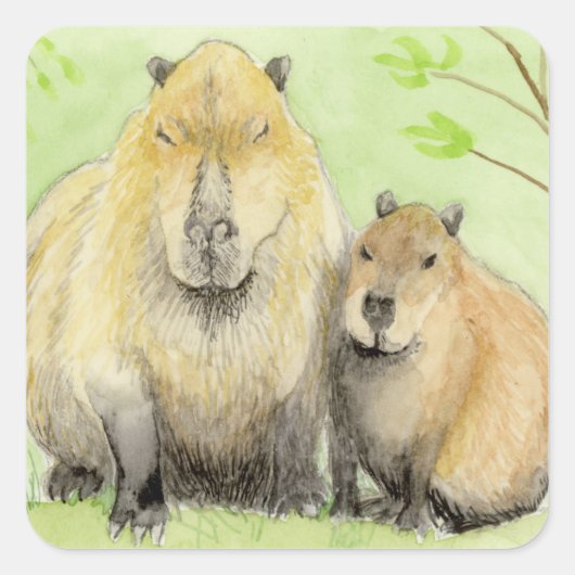 Capybara Vierkante Sticker (Voorkant)