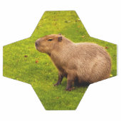 Capybara Voetbal (Enkel)