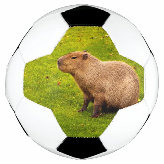 Capybara Voetbal (Voorkant)