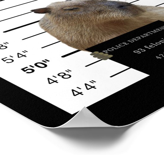 Capybara Wanted Mugshot Capybara Meme Poster (Hoek)