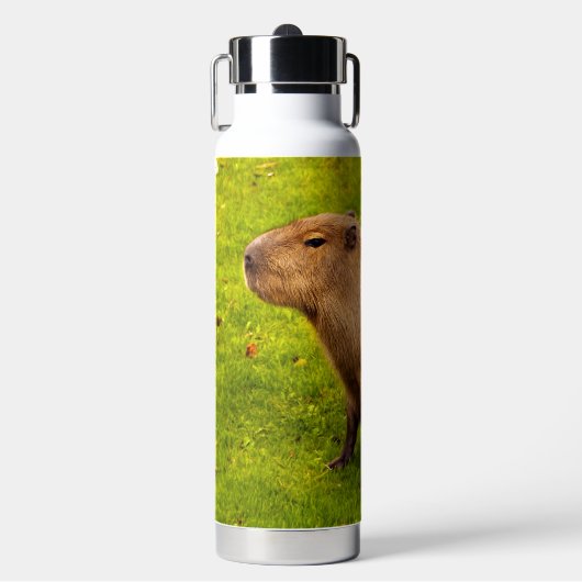 Capybara Waterfles (Voorkant)